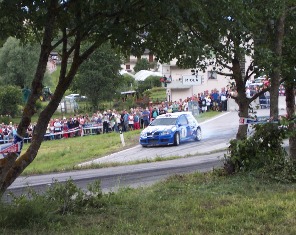 The sixth round of the CSAI sanctioned 2005 Italian Rally Championship, the San Martino Rally, saw Paolo Andreucci in the official Fiat Punto Super 1600 claim victory in the front wheel drive category, as well as second place overall.