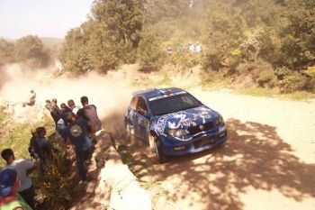 Fiat Punto Abarth Super 600 - 2005 FIA World Rally Championship Sardinia-Italia Rally