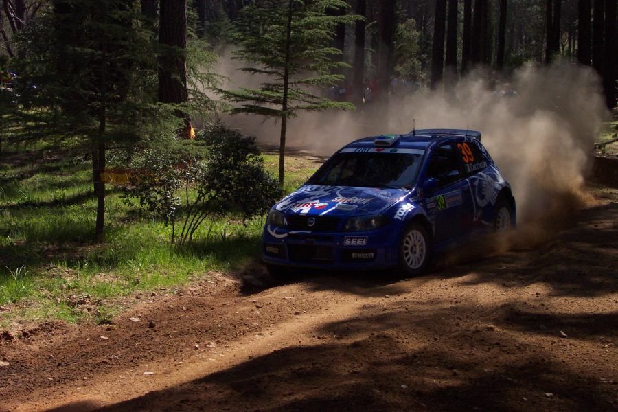 Fiat Punto Super 1600 on the 2005 WRC Italy-Sardinia Rally