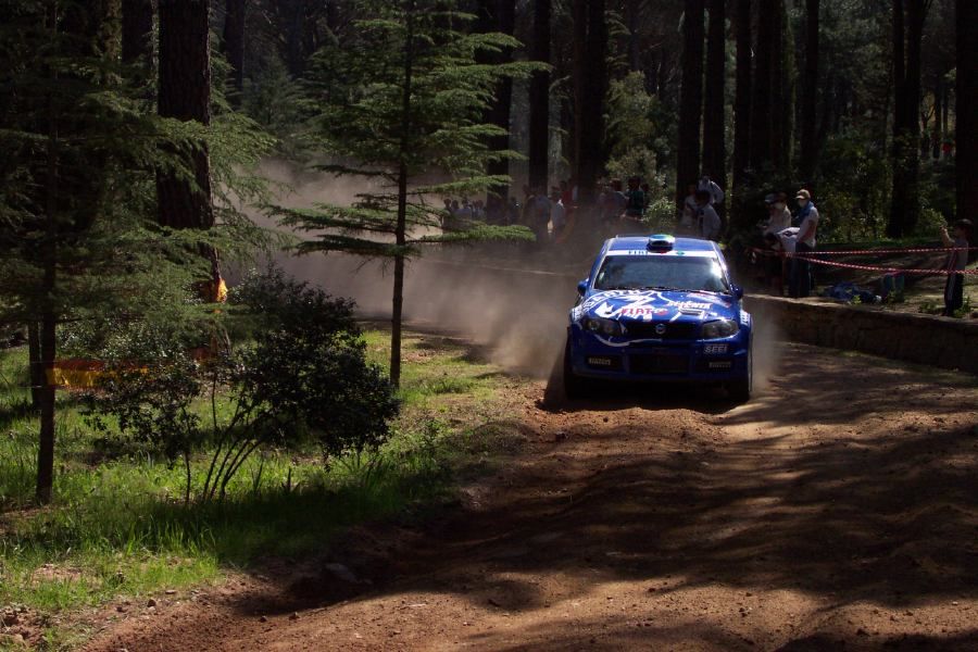 Fiat Punto Super 1600 on the 2005 WRC Italy-Sardinia Rally