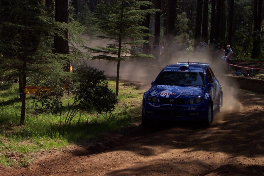 Fiat Punto Super 1600 on the 2005 WRC Italy-Sardinia Rally