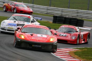 SCUDERIA ECOSSE FERRARI F430GT