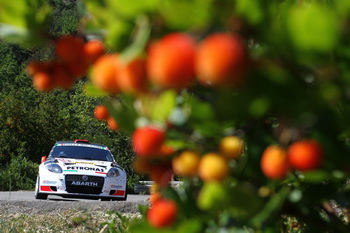 ABARTH GRANDE PUNTO S2000 - 2010 RALLYE SANREMO