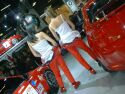 Click here to enlarge this image from the Alfa Romeo stand in Bologna