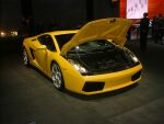 click here to see this image of the Lamborghini Gallardo in high resolution