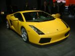 click here to see this image of the Lamborghini Gallardo in high resolution