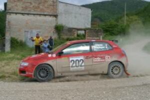 Action from the Rally del Salento