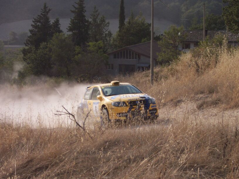 Action from the 2004 Rally dell'Adriatico