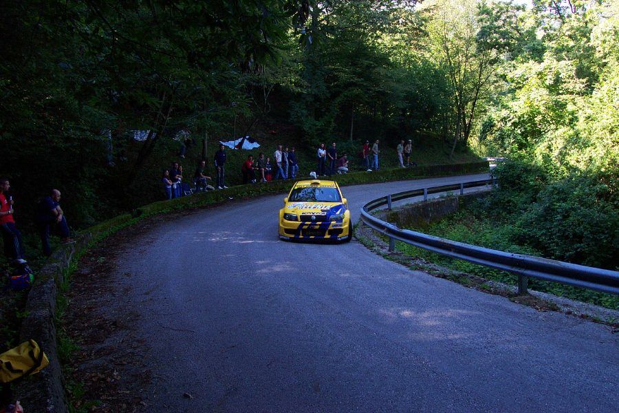 Action from the 2004 Rally Alpi Orientali