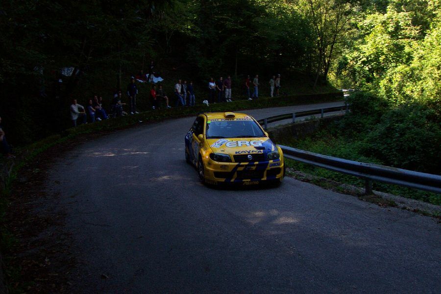 Action from the 2004 Rally Alpi Orientali