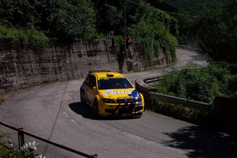 Action from the 2004 Rally Alpi Orientali