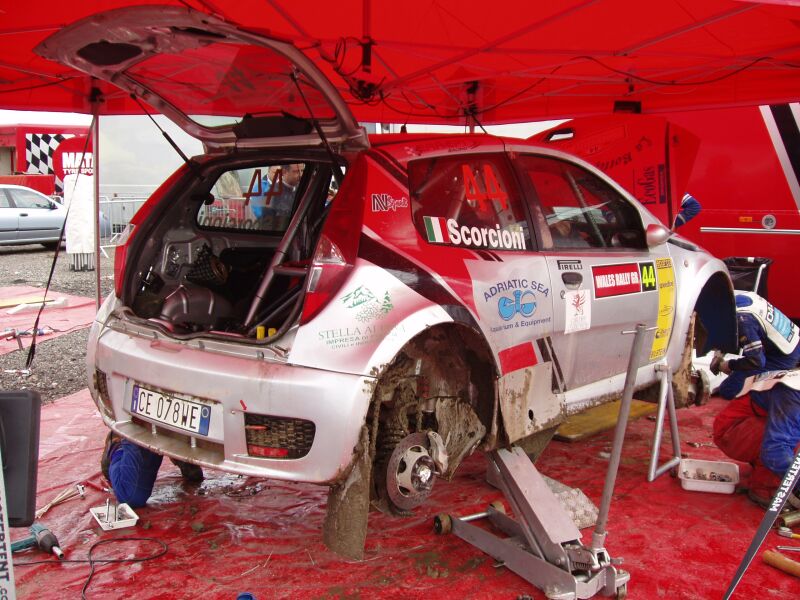 Fiat Punto Abarth action from the 2004 FIA World Rally Championship Wales Rally GB